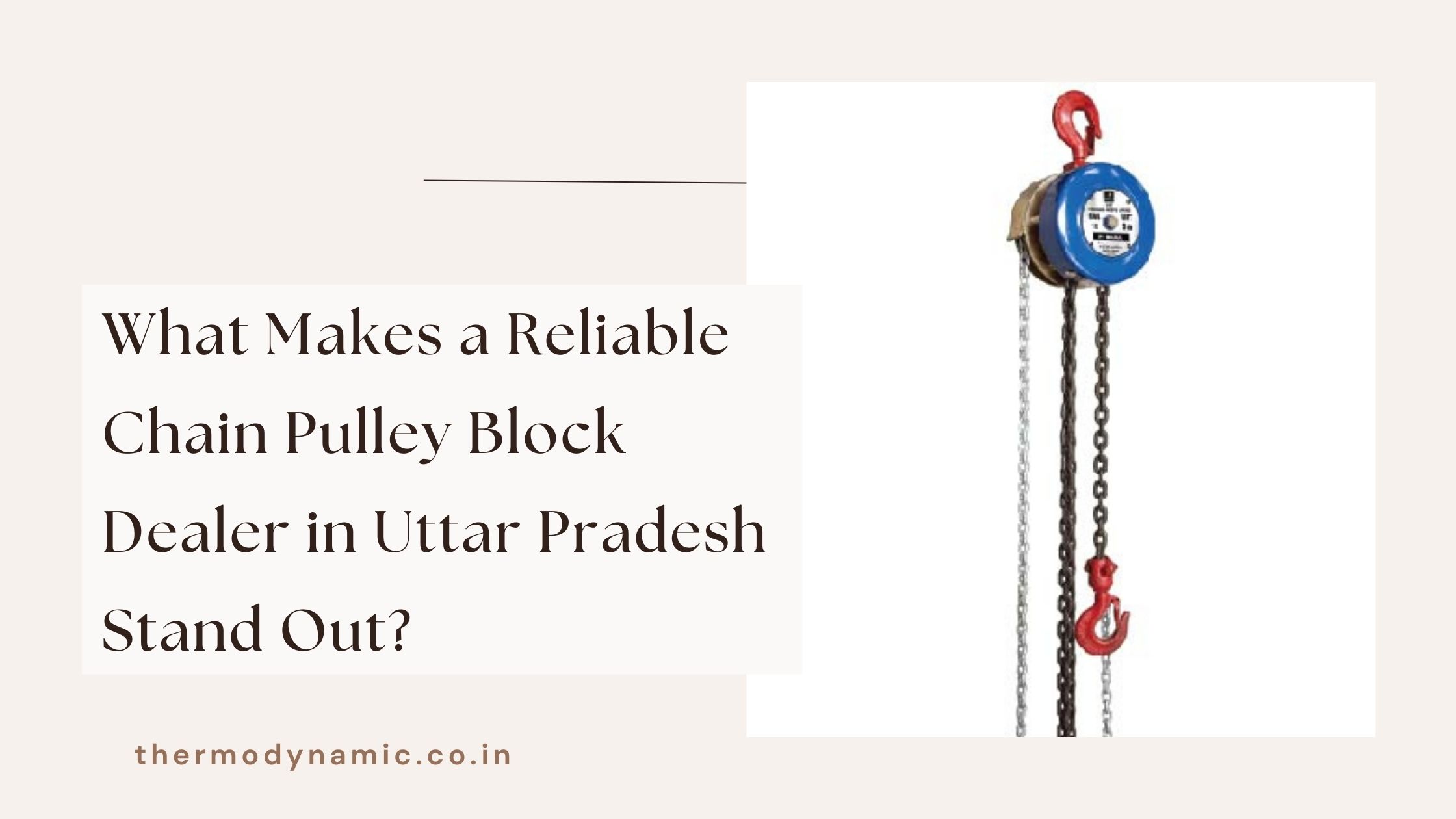 what-makes-a-reliable-chain-pulley-block-dealer-in-uttar-pradesh-stand-out-blog-1764142541.jpg